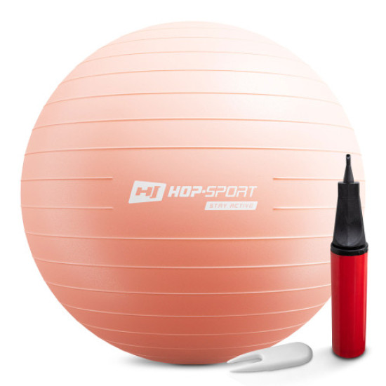 Купити Фітбол  Hop-Sport 75cm HS-R075YB light pink + насос у Києві - фото №1